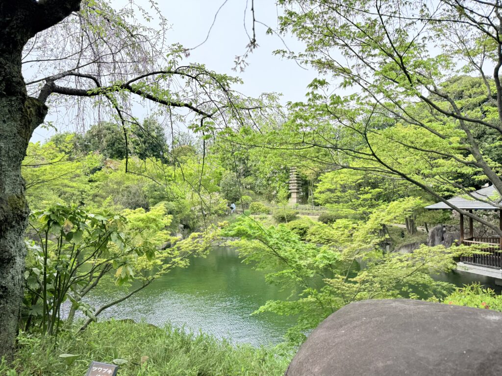 目白庭園