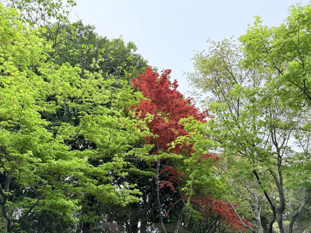 目白庭園