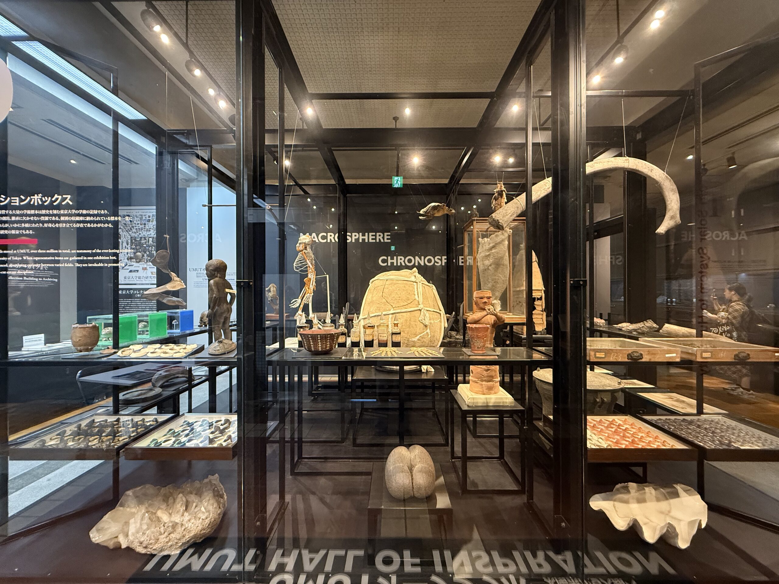 東京大学総合研究博物館
