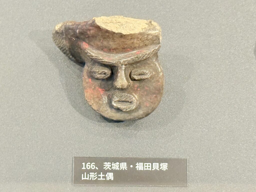 東京大学総合研究博物館