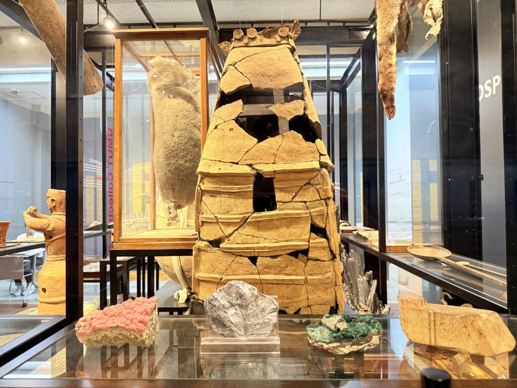 東京大学総合研究博物館