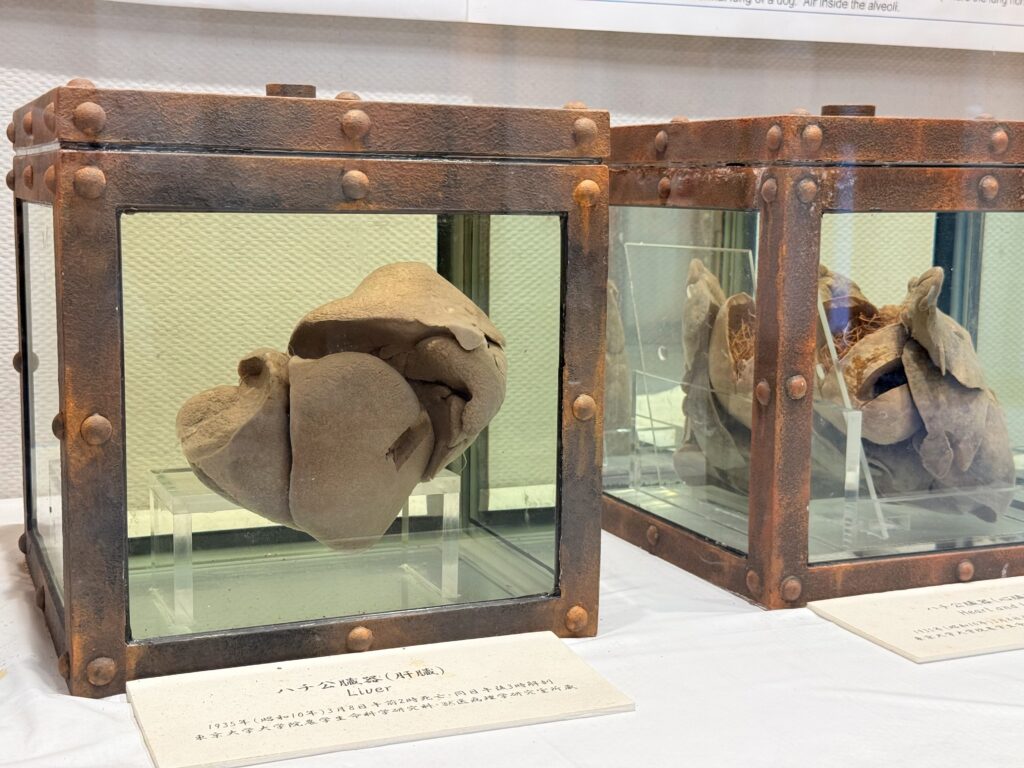 東京大学農学資料館