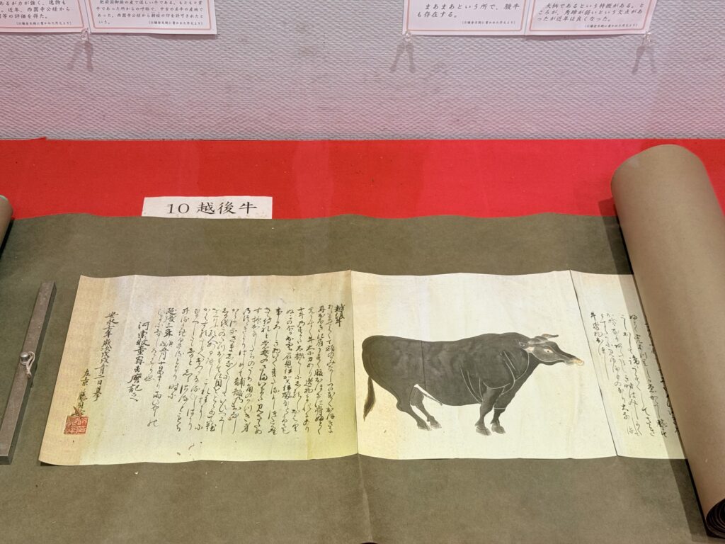 東京大学農学資料館